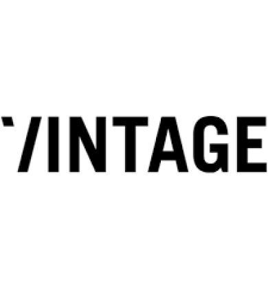 Обзор и преимущества ИТ компании Vintage Web Production