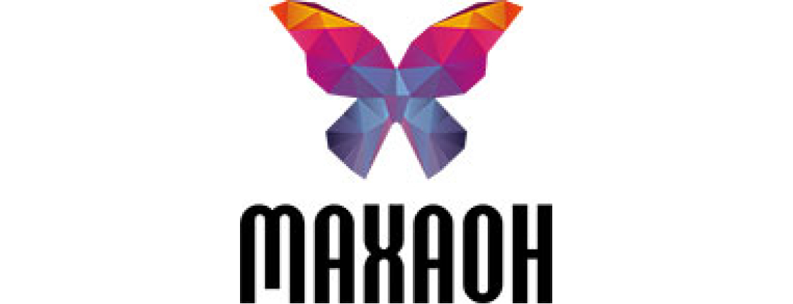 Обзор и преимущества ИТ компании Махаон