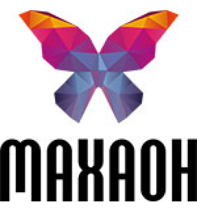 Обзор и преимущества ИТ компании Махаон