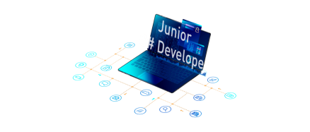 C#/.Net Developer