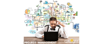 IT Project Manager