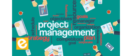Project Management в IT