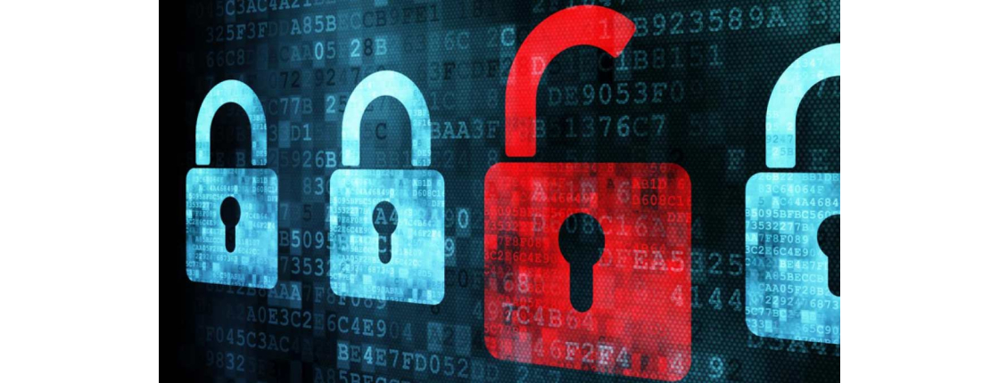 ОБНОВЛЕНИЕ СЕРВИСА: ТИЦ, портфолио