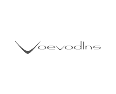 Voevodins