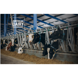Освітній сайт для American Dairy Technology