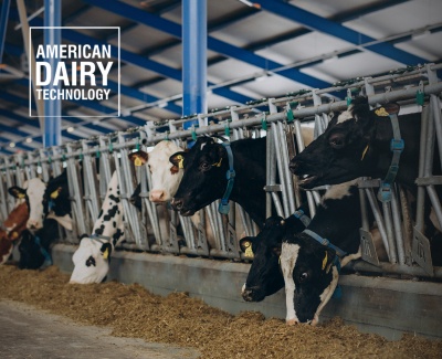 Освітній сайт для American Dairy Technology