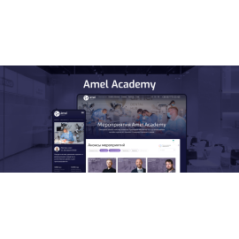 Разработка образовательного онлайн пространства Amel Academy