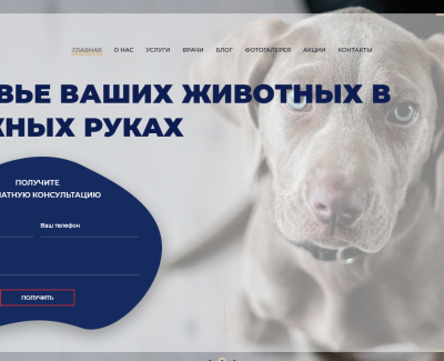 Сайт ветеринарной клиники «МЕД»