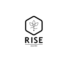 Еще один сайт для бренда RISE