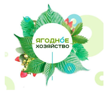 Ягодное хозяйство - розробка сайту