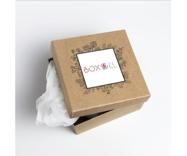 BoxEl- розробка лого
