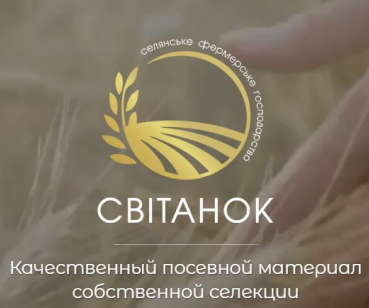 Svitanok - розробка сайту