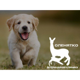 Оленятко