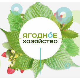 Ягодное хозяйство