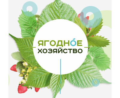 Ягодное хозяйство