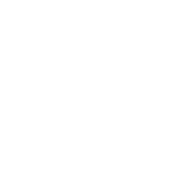 LivePizza
