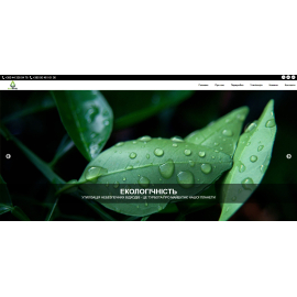 Ecointel