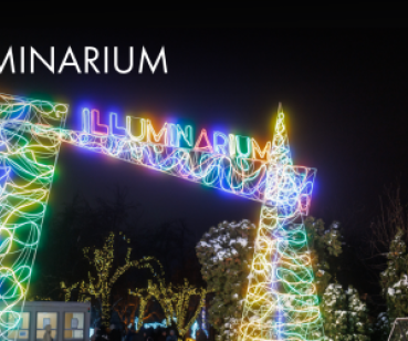 Кейс SMM для ILLUMINARIUM