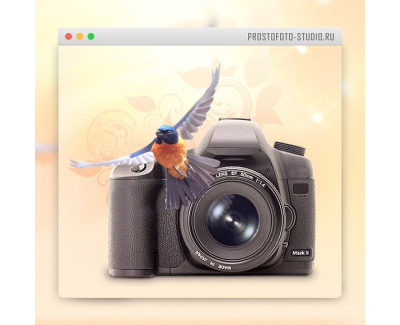 Сайт фотостудия PROSTOFOTO