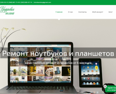 Цифровая поляна