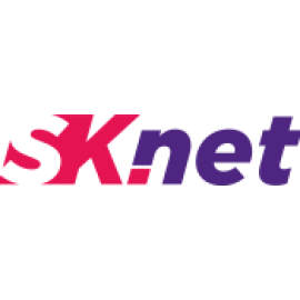 Landing page провайдеру SKNet