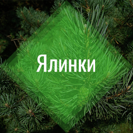 yalynochka.com.ua