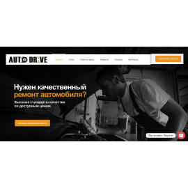 Auto Drive car service