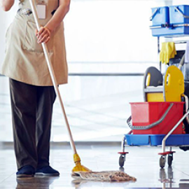 Master Cleaning
