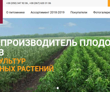 Корпоративний сайт інтегрований з інтернет-магазином