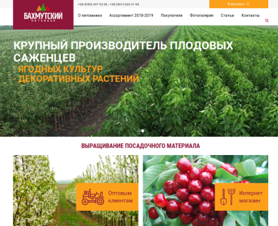 Бахмутський розплідник саджанців