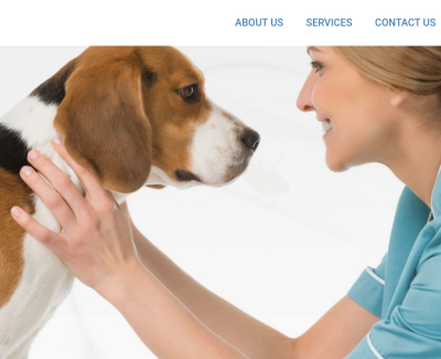 acrovet.org