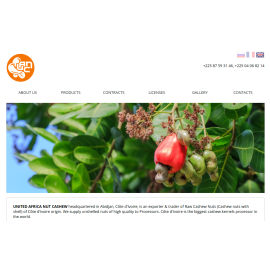 uanc-company.com