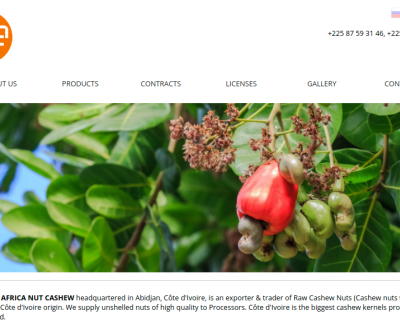 uanc-company.com