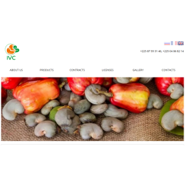 ivcexports.com