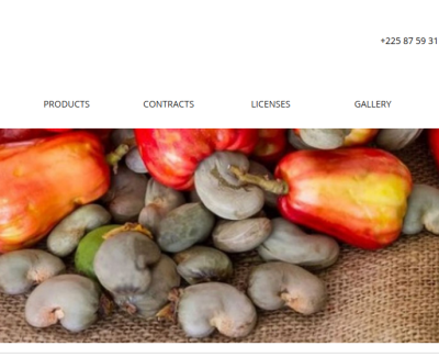 ivcexports.com