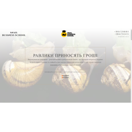 SNAIL BUSINESS SCHOOL 