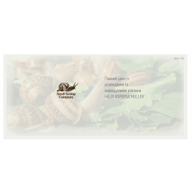 Snail Group Company 