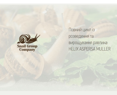 Snail Group Company 
