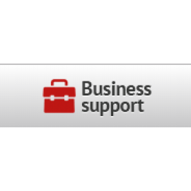 Business Support