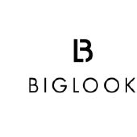 biglook.com.ua