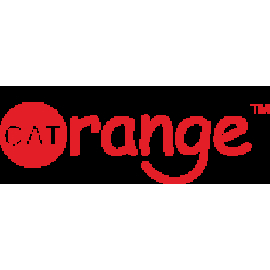 Cat Orange