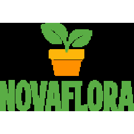 novaflora.biz