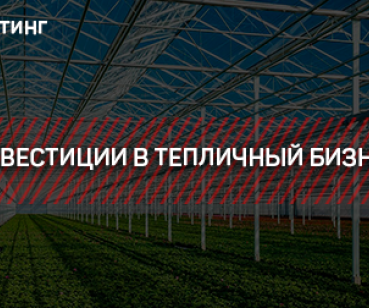 ТАРГЕТИНГ – ИНВЕСТИЦИИ В ТЕПЛИЧНЫЙ БИЗНЕС