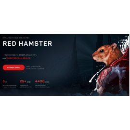 Маркетинговое агентство Red Hamster