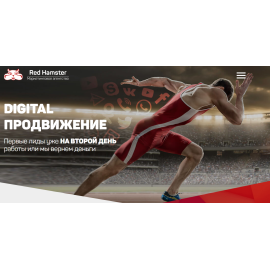 Digital продвижение Red Hamster