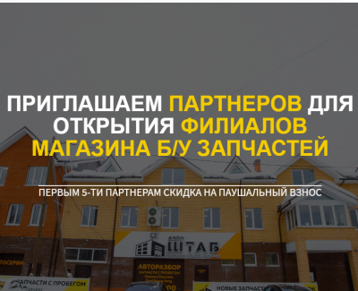Лендинг - Франшиза