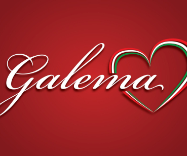 Магазин сумок и аксессуаров «Galema»