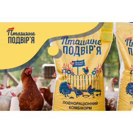 Пташине подвірʼя