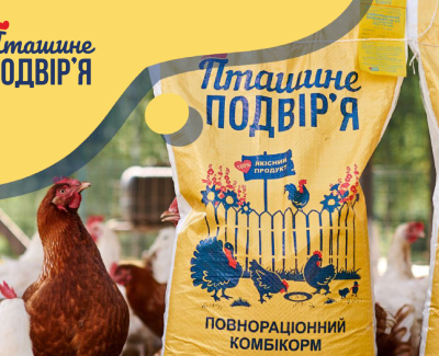 Пташине подвірʼя