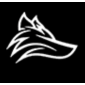 Wolf Studio